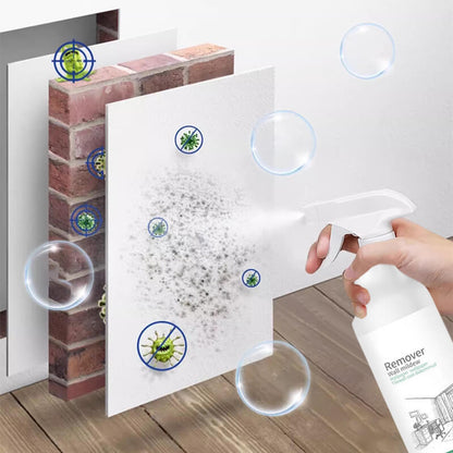 🌬️Mildew Removal Spray