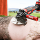 🧰BUY 2 GET 3 FREE🔧Labor-Saving Pig Hair Remover Scraper Disc