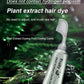 🔥Buy 2 Get 1 Free🔥Fruit Essence Hair Dyeing Comb