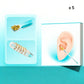 Adhesive Ear Wax Removal Tool Kit