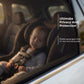 Universal Car Window Shades