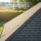 🔥New Hot Selling❤️‍🔥Multi-Surface Roof Moss & Algae Cleaner Spray