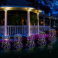 🌸🔆 Solar Powered Garden Lights – Color Changing LED, Energy Saving, No Wiring. Create a Magical Night Ambience for Your Yard or Flower Bed. 🌙🌺🪴