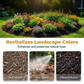 🔥50% OFF💥Mulch & Gravel Anchor Glue for Landscaping